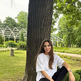  , 26,  