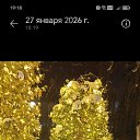 ���� ���, �������, 42 ���� - ��������� 11 ����� 2026 � ������ ���� ����������