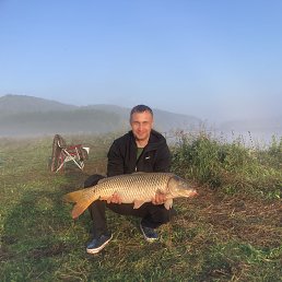 , 34 , 