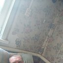 ���� ������, ���������, 42 ���� - ��������� 17 ������� 2026 � ������ ���� ����������