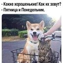 ���� ����, ��������� - ��������� 1 ������� 2026 � ������ ������ ��������