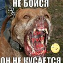 ���� ������, ������, 53 ���� - ��������� 17 ������� 2023 � ������ ���� ����������