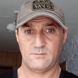 ������, �����-���������, 48 ���