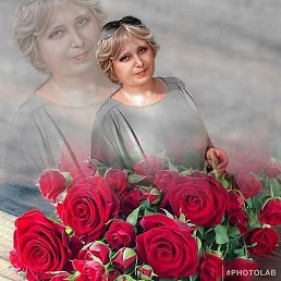 ������, �������, 62 ����