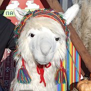 ������� ������, 59 ���, �����