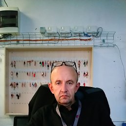 ���� ������, �����-���������, 48 ��� - ��������� 8 ������� 2026