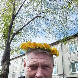 , 51 , 