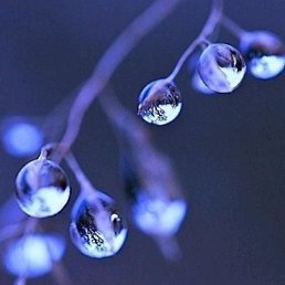 �*, ���������, 49 ���