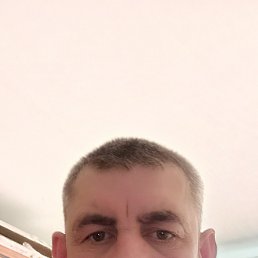 , 45 , -