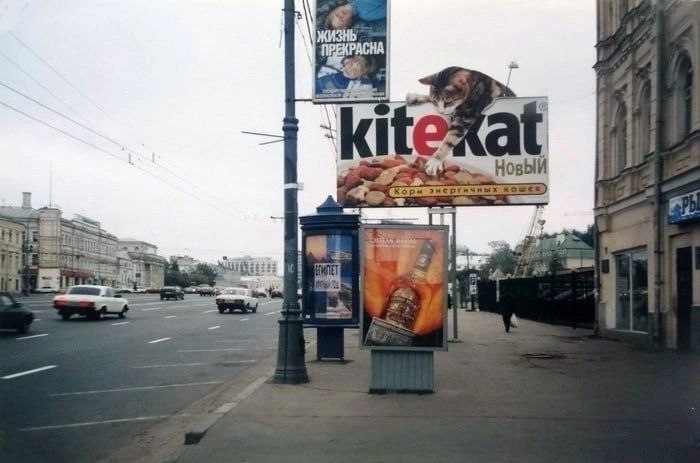 Peaa opa Kitekat. Moca, 2000 o.