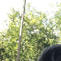 �����, �������, 42 ����