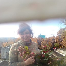 ����, ������������