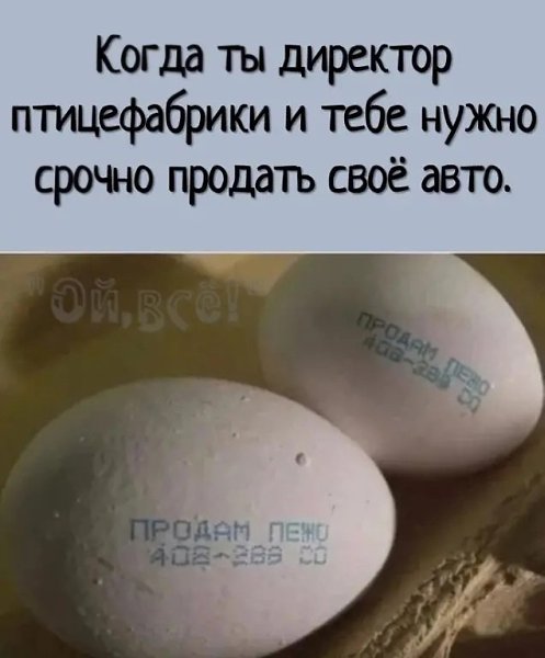 - 18  2024  20:05