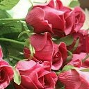 ���� �����, ������, 50 ��� - ��������� 5 ������ 2024