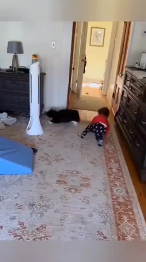 e oe a pae ee: 5 oco co.a  oeceoc  o a o ... - 2