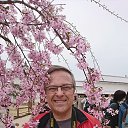 ���� ��������, ������, 72 ���� - ��������� 31 ������� 2025 � ������ ���� ����������