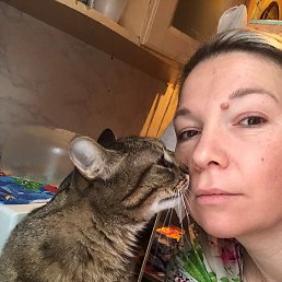 ���������, �����������, 43 ����