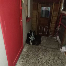 ���� �����, ������, 45 ��� - ��������� 13 ������� 2023