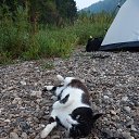 ��� �� ������� ���� ����������