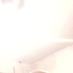 ����, ������, 45 ���