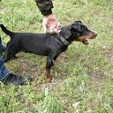 ���� �����, ������, 55 ��� - ��������� 4 ������� 2025 � ������ ������ ��������