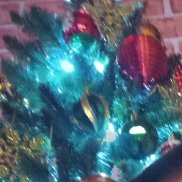 ����, 47 ���, ����