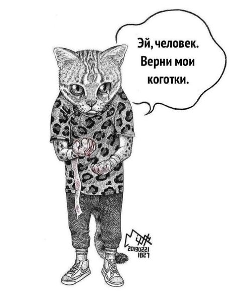  -     . - 3