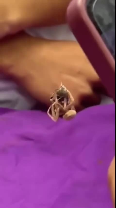 �����������, ���� ������ ��� ���������� - 2