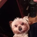 ���� �����, ����, 65 ��� - ��������� 16 ������ 2025 � ������ ���� ����������