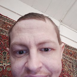 , 31, 