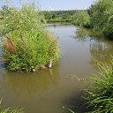 ���� �������, �������, 64 ���� - ��������� 5 ����� 2025 � ������ ���� ����������