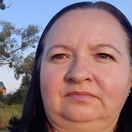 ������, ��������, 41 ���