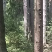 �����, 39 ���, ������