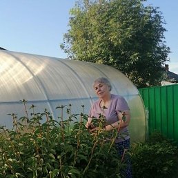 �������, ������, 70 ���