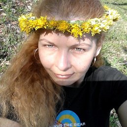 , 53, 