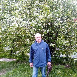 ������, 63 ����, ���������