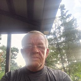 , 65, 