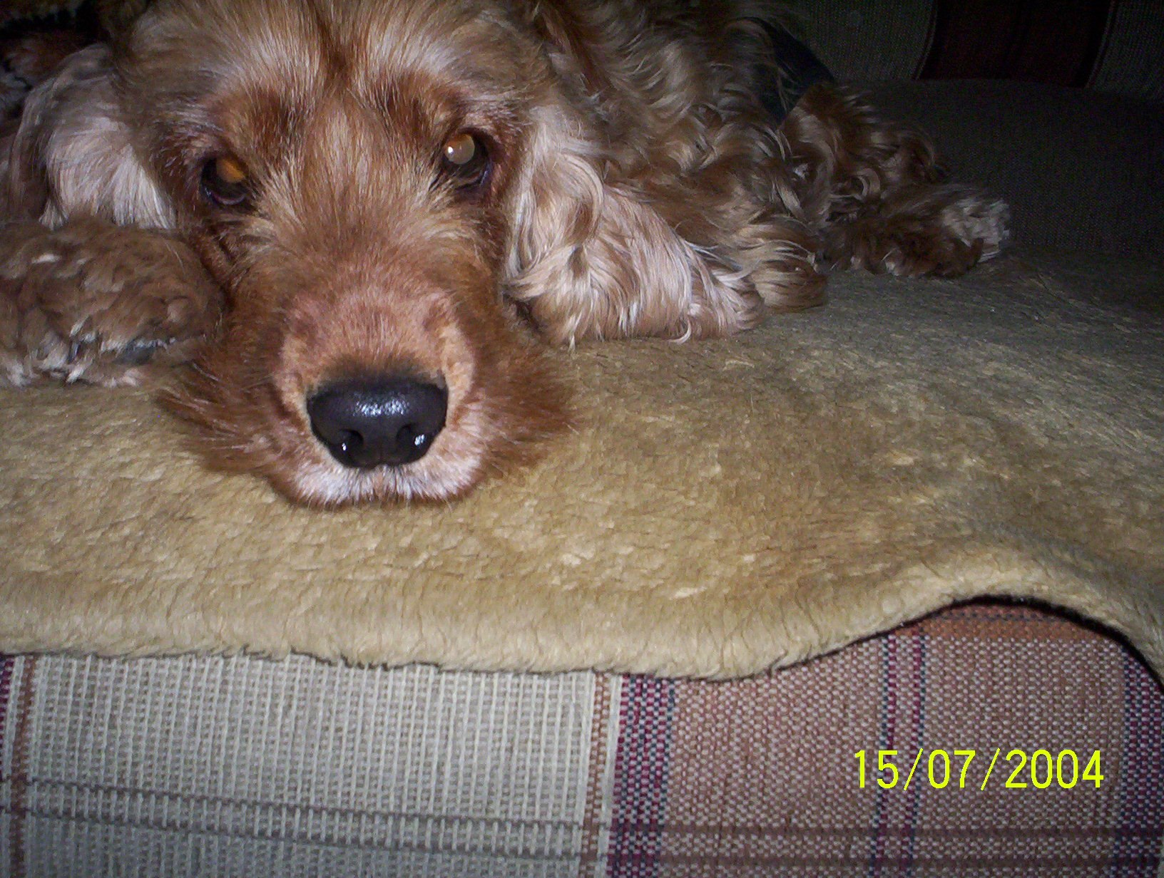  -  ! - 13  2025  00:05