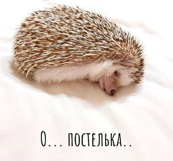   - 11  2024  23:18