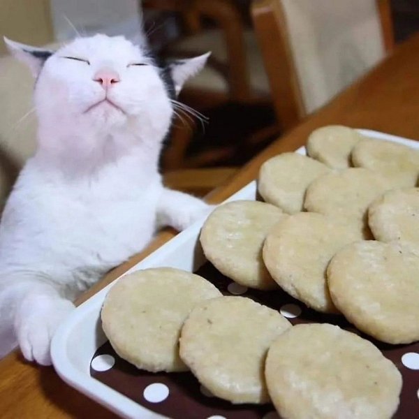 ��� �������� :3 - 4