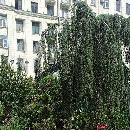 ���� �������, ������, 66 ��� - ��������� 15 ������� 2025