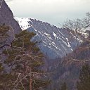 ���� ��������, ����-���, 42 ���� - ��������� 8 ��� 2025 � ������ ������ ��������