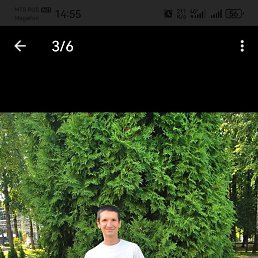 ����, ��������, 46 ���