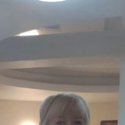 ���, 43 ����, ������