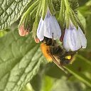 ������� �� ������� ������25�