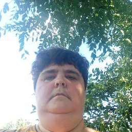 , 43, 