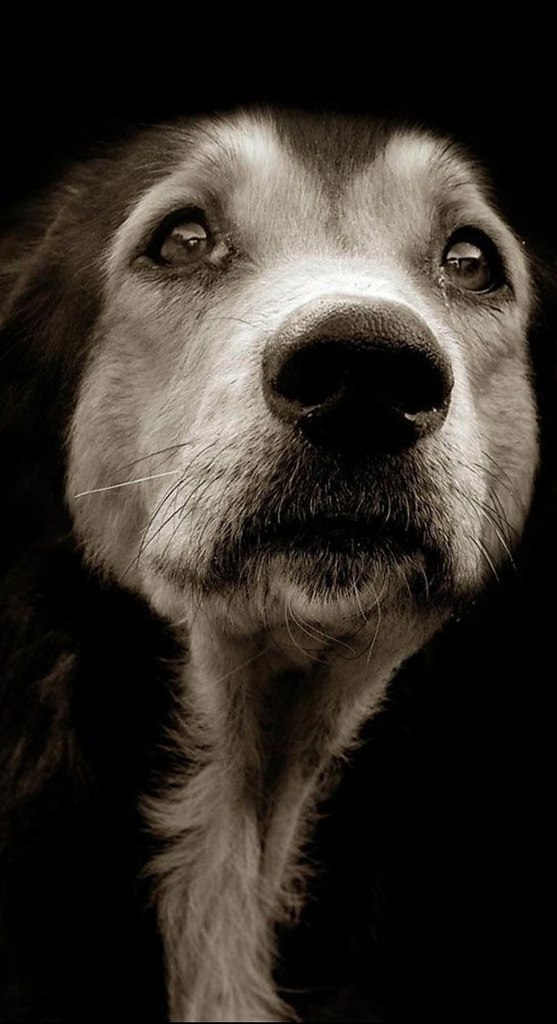 ... .,     ,  .         ... - 4