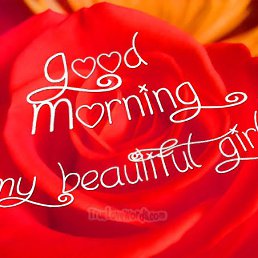 ���� Dssz, ����, 51 ��� - ��������� 28 ������� 2025