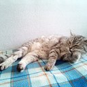 ���� Mila, ���� - ��������� 13 ������ 2025 � ������ ������ ��������