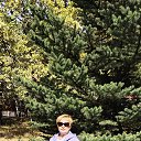 ���� �������, ������� - ��������� 4 ������ 2024 � ������ ���� ����������